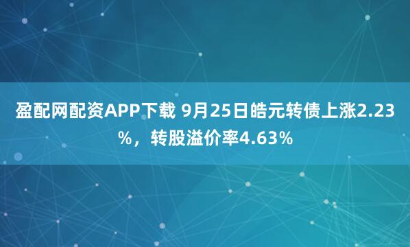 盈配网配资APP下载 9月25日皓元转债上涨2.23%，转股溢价率4.63%